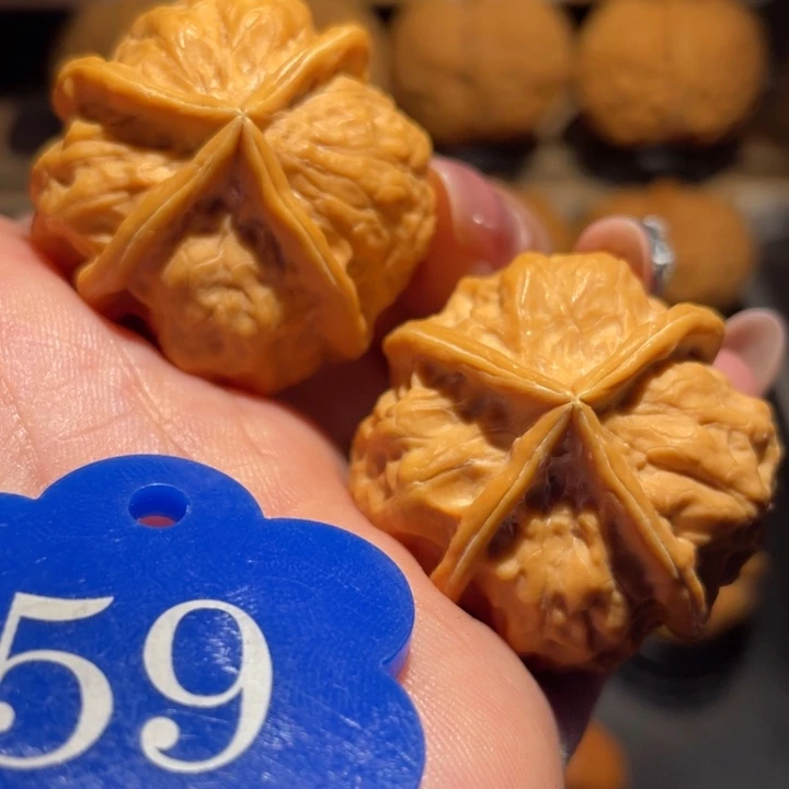 龙骨四棱核桃尺寸35