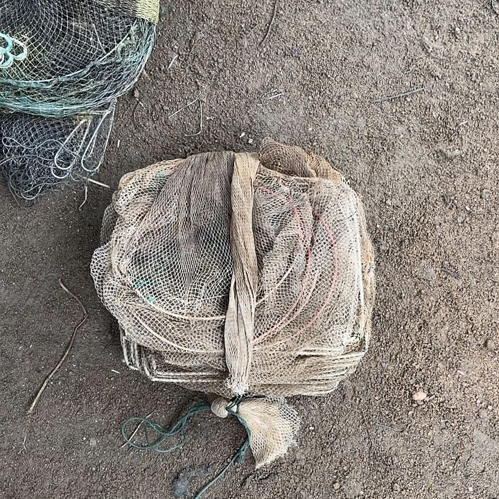 宋***宝虾112555555555555555