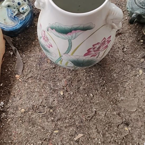 东***王陶好好看看吧看吧看吧