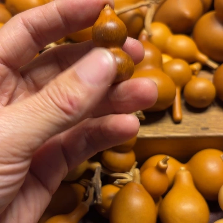 大***棠大鱼海棠的一把花皮葫芦