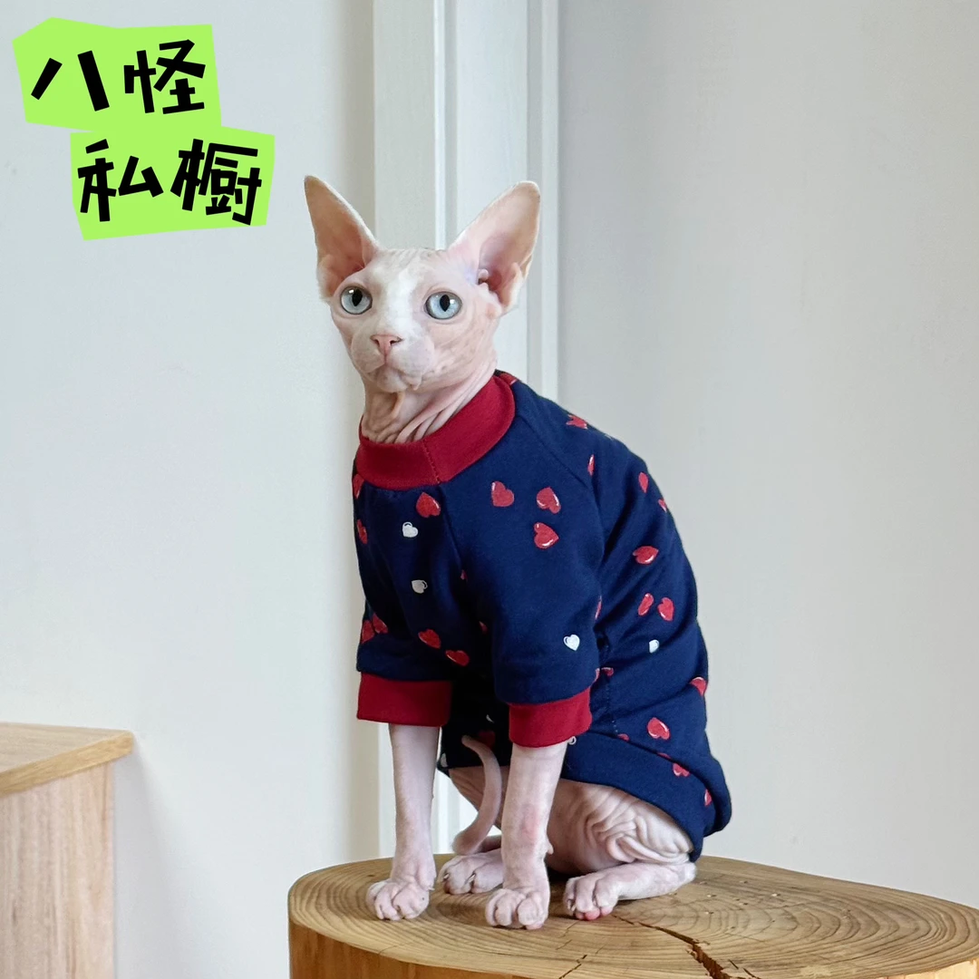 手工制作无毛猫德文猫纯棉透气毛圈藏青色桃心卫衣