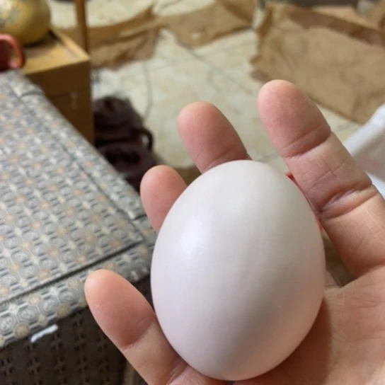 紫砂茶壶宜兴紫砂壶