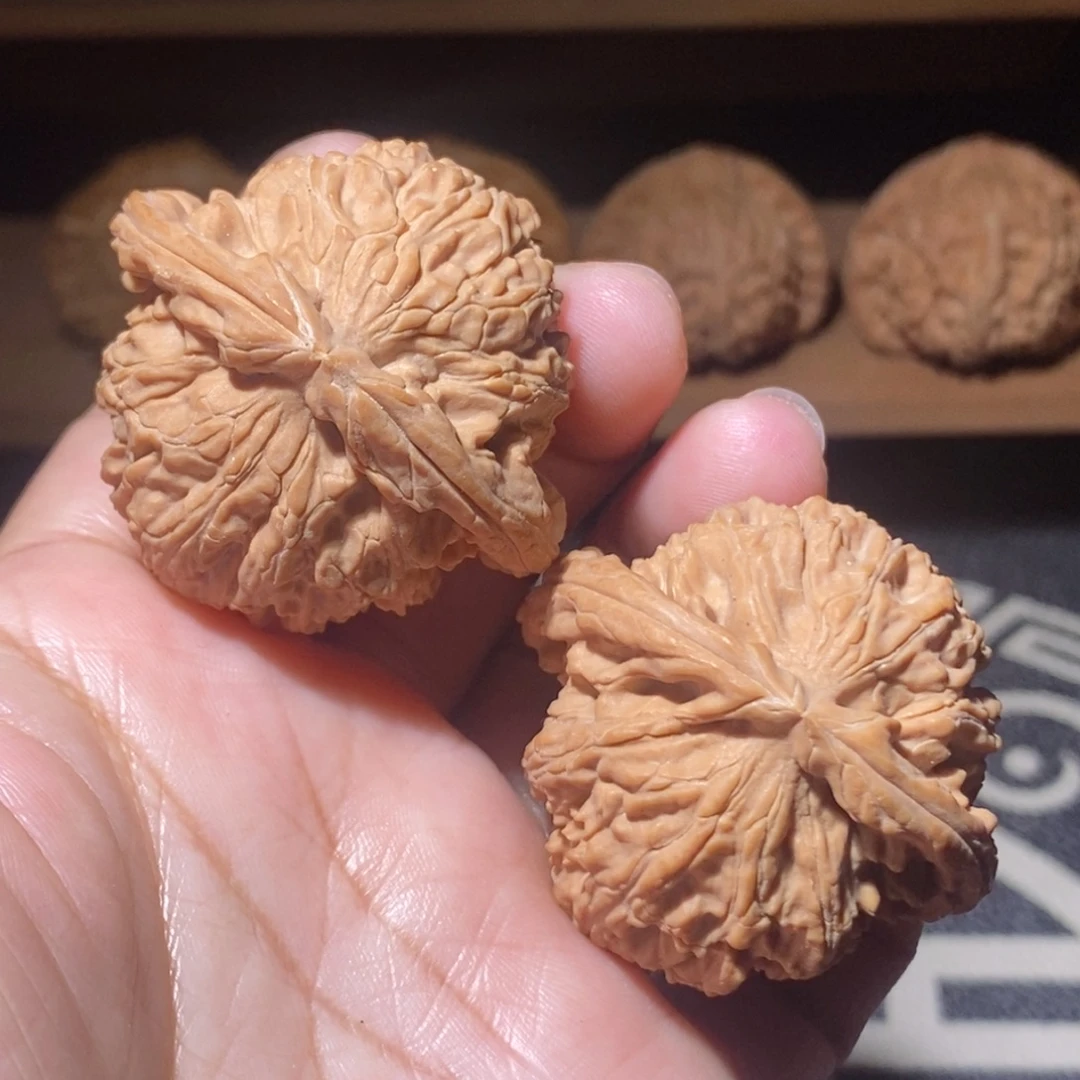 $***$核桃手把件白狮子42