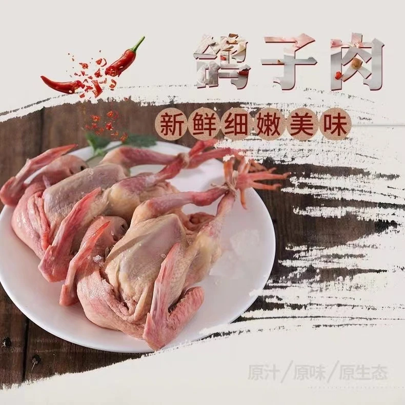 生鲜鸽子肉 带头带爪 新鲜现杀 鸽子 400-450g/只*3只