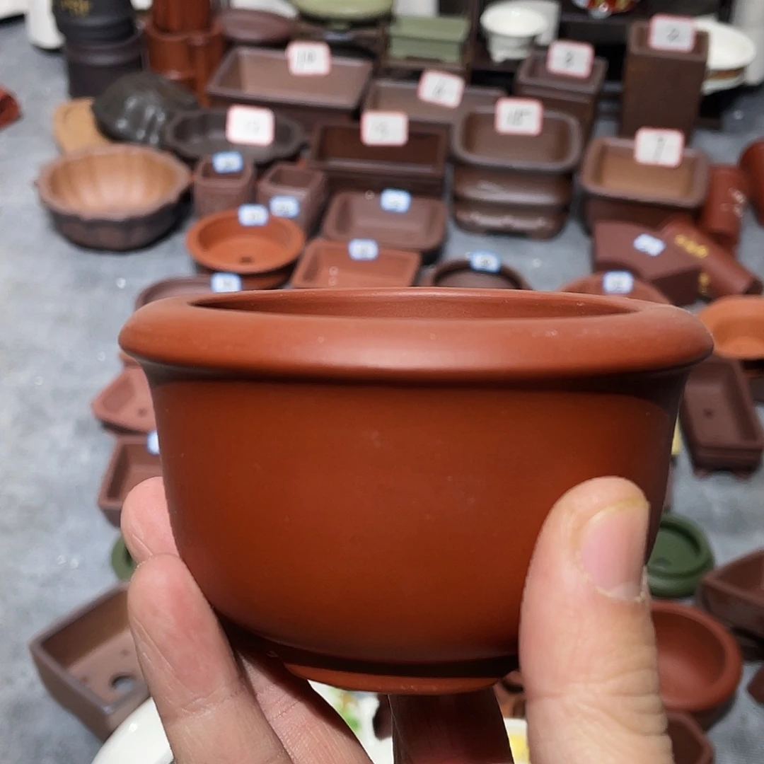 紫砂紫砂小盆7.5*5