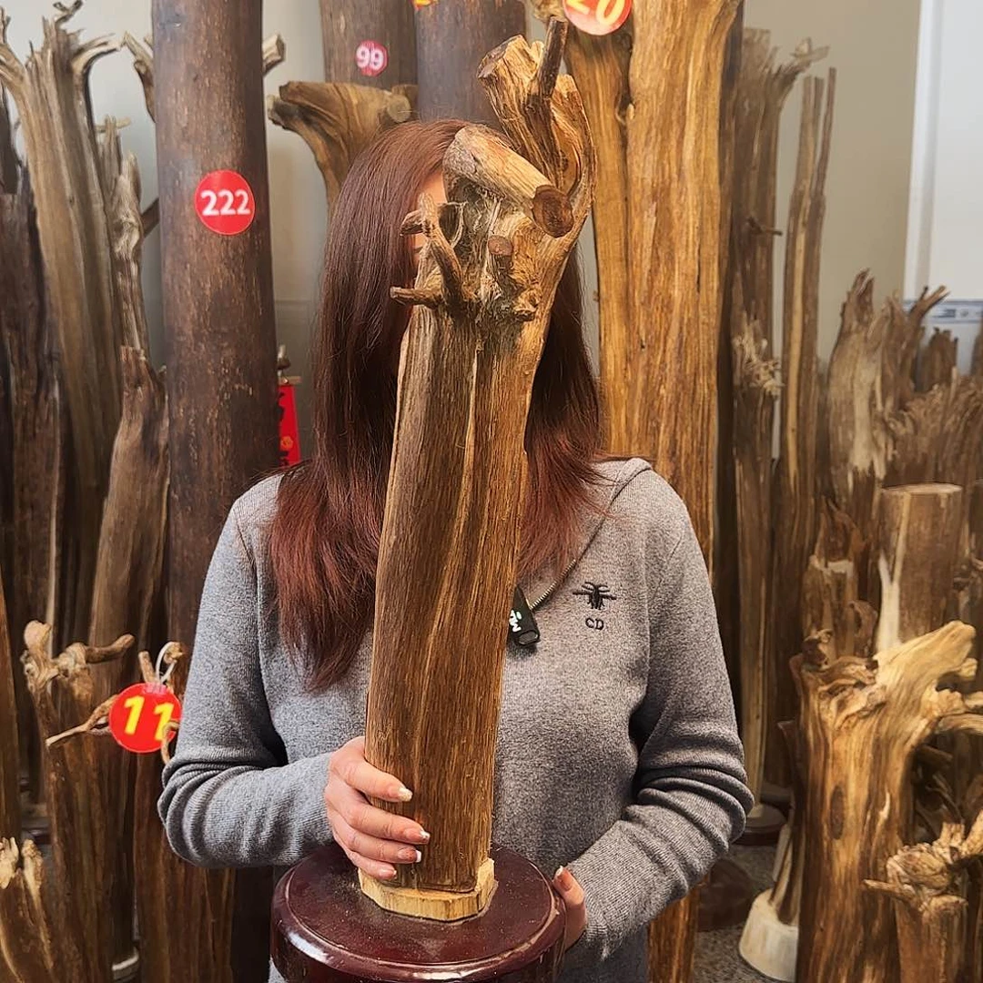 沉香摆件天然沉香原木摆件➕底座