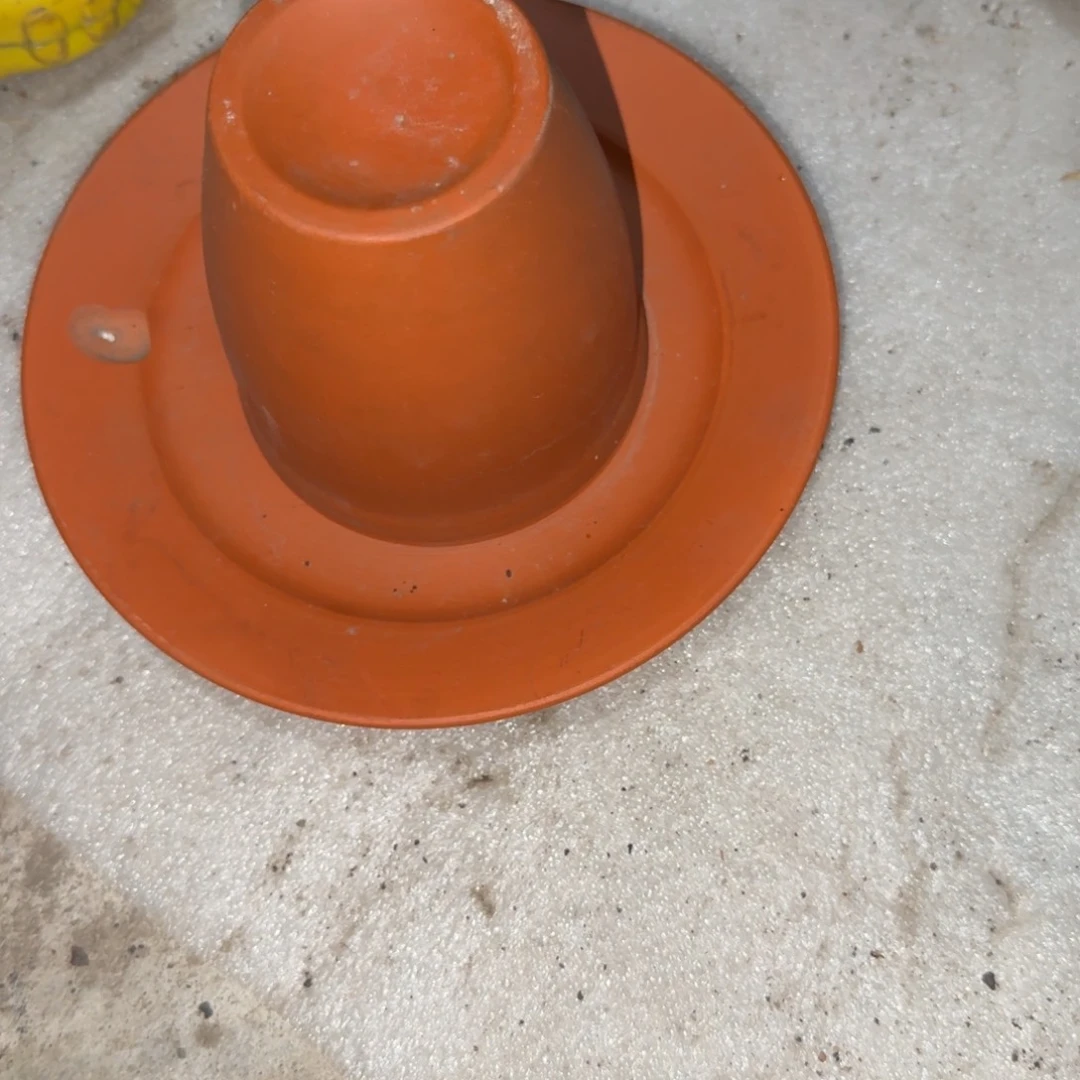 你要的就是这个人对自己晨