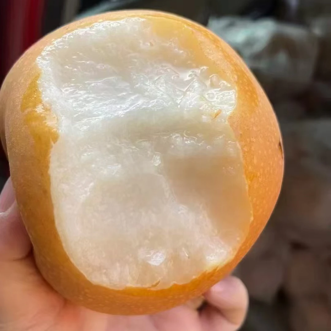 【隋隋家】秋月梨新鲜水果当季应季整箱现摘正宗烟台特产