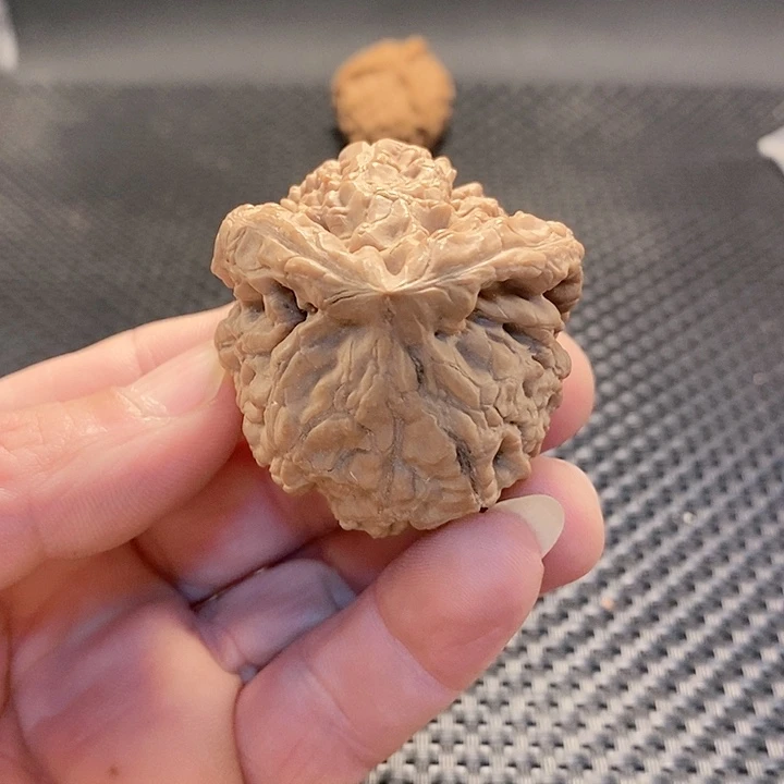 把件文玩核桃龙鼎异形全品龟背小兔子