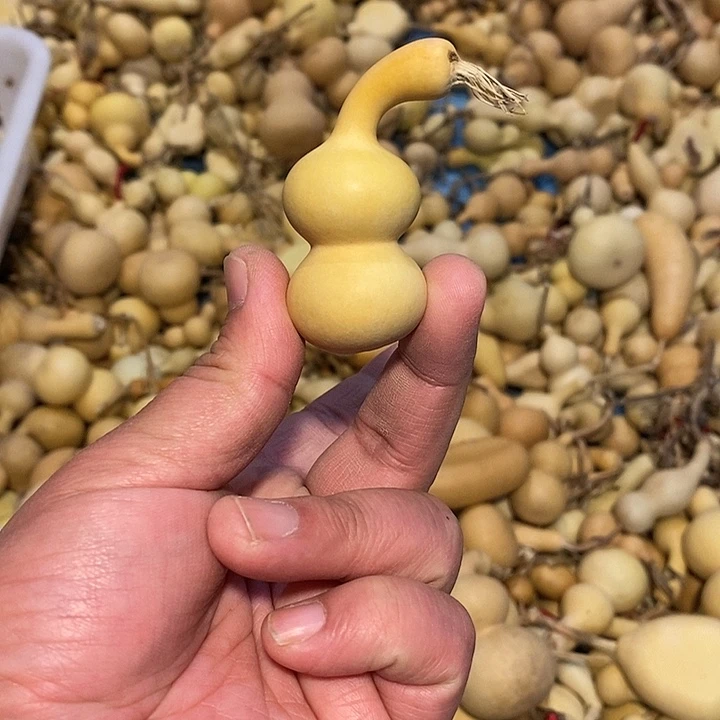 望**馨精品葫芦手把葫芦49