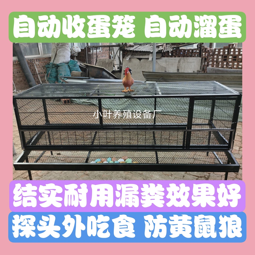 鸡笼蛋鸡笼可自动收纳鸡蛋笼外喂食防黄鼠狼防加密链条网镀锌支架