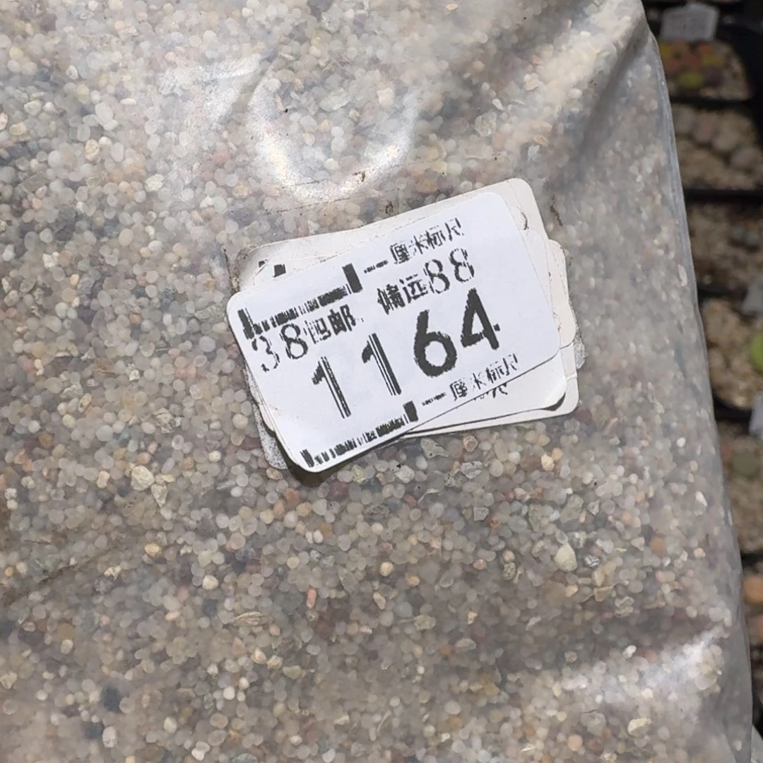 zzz冬日暖心福利1164