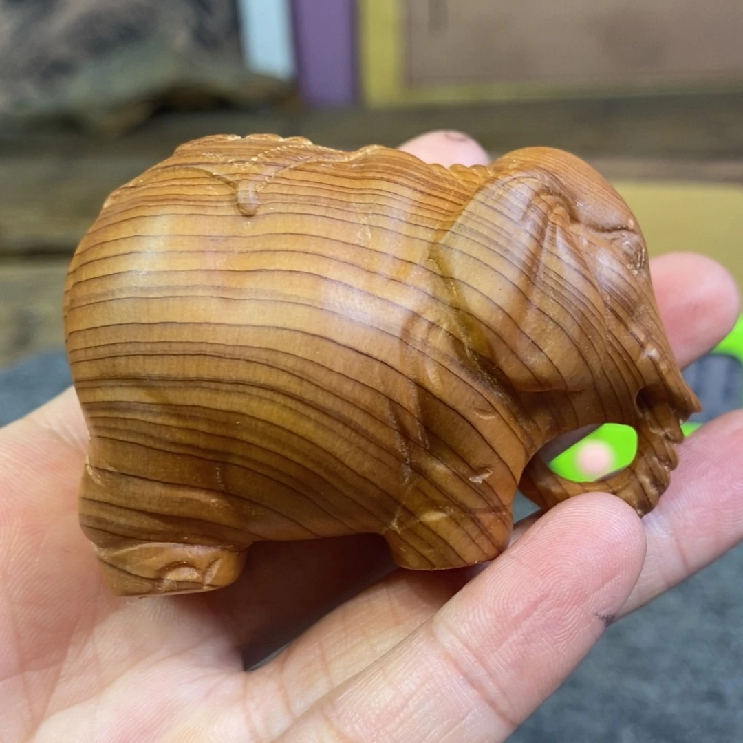 柏木（崖柏）崖柏1111