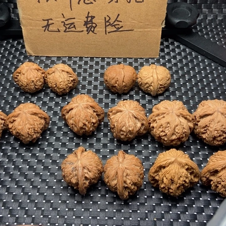 安***斯大大大大大大大粗筋