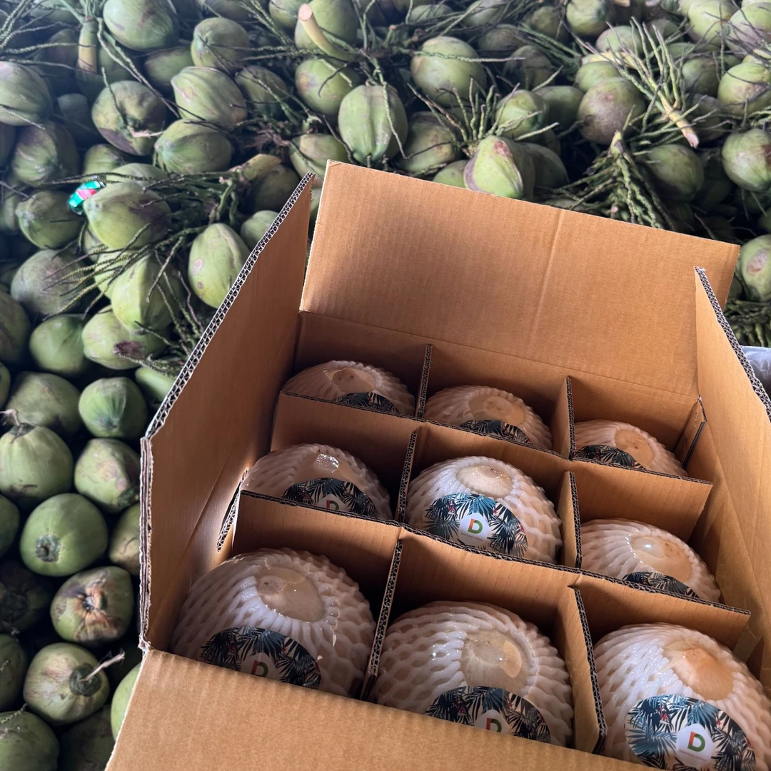 【泰国带皮椰子】单果900g-1100g  新鲜椰汁 顺丰包邮 椰子蛋