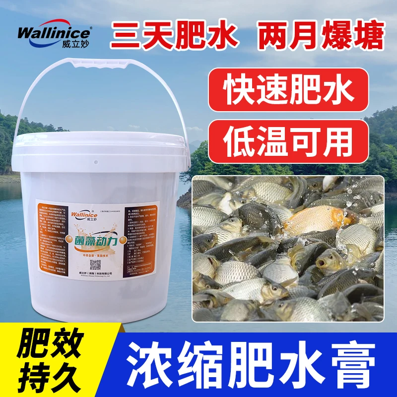 菌藻动力桶装批发水产养殖有益鱼虾蟹塘肥水调水改水复合小球藻种