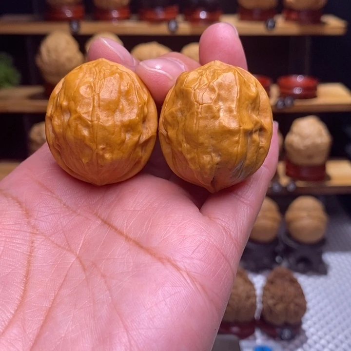 木质类云铁甲壳虫113号