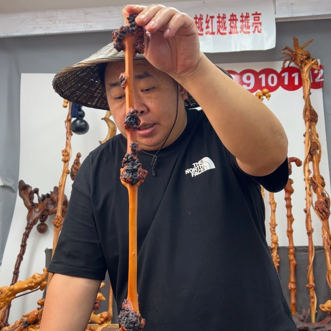 黑果木其他深**手黑果木142