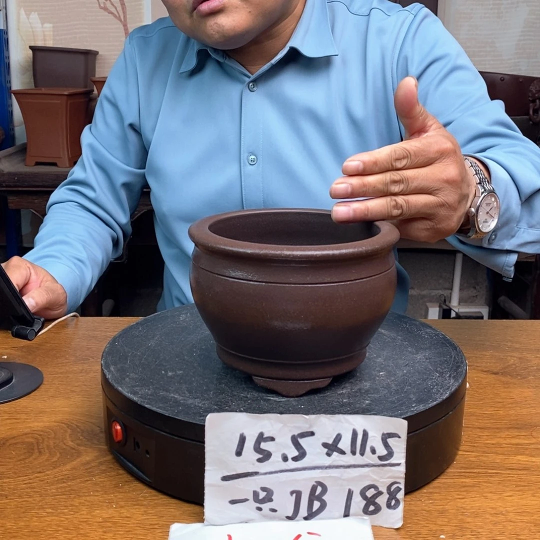JB188子紫砂货号一只