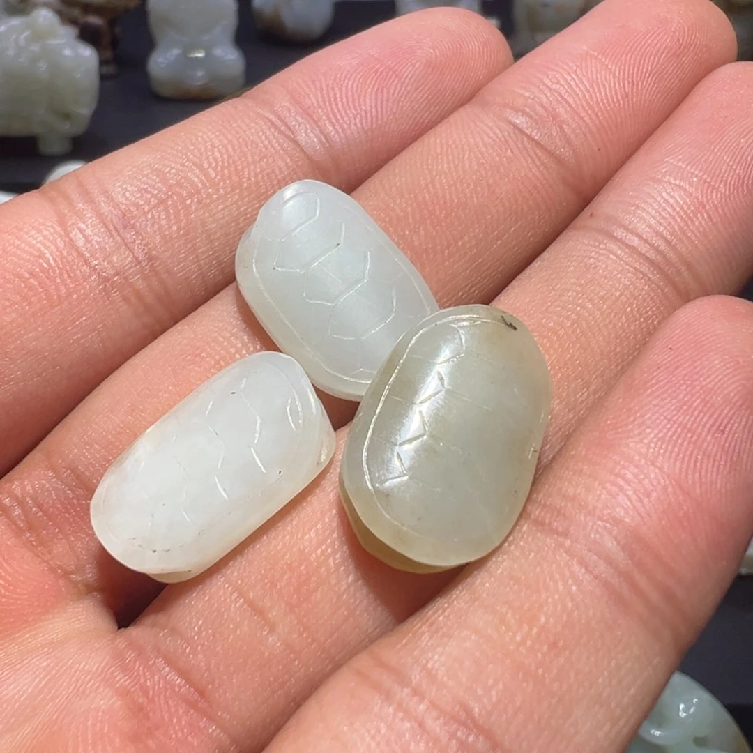 缸一物一图 所见所得