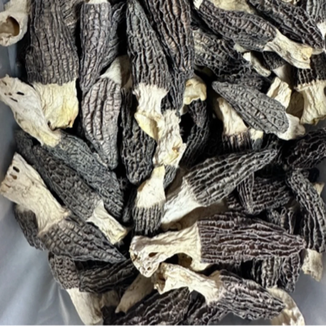 贵州高山个人羊肚菌干货精品均匀香味足滋补炖汤佳品羊肚干菌