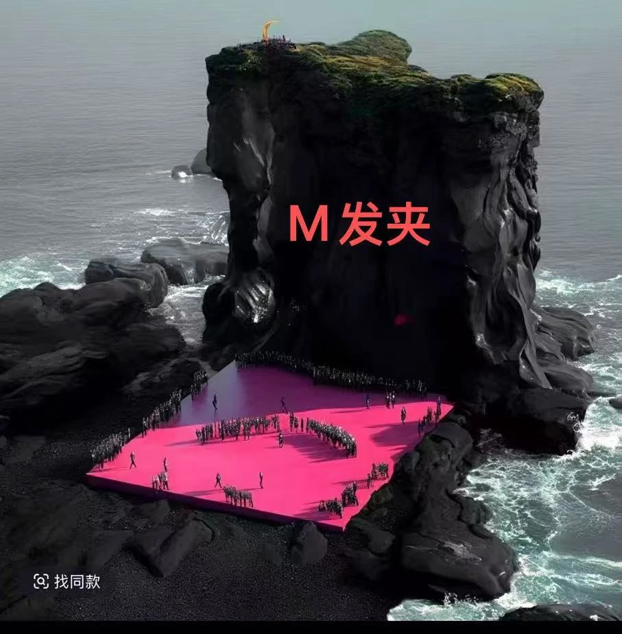 【小M发夹 发夹】2025明星网红同款时尚百搭气质高端简约材料包