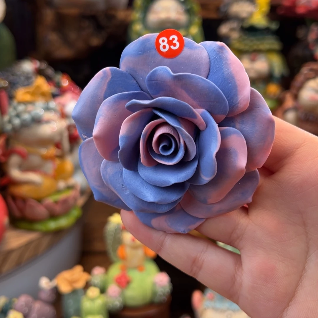 W*?小镇青花每日有新品