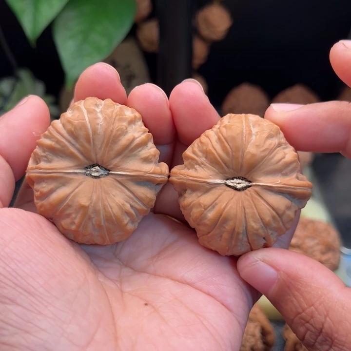 文玩核桃把件43南瓜墩全品