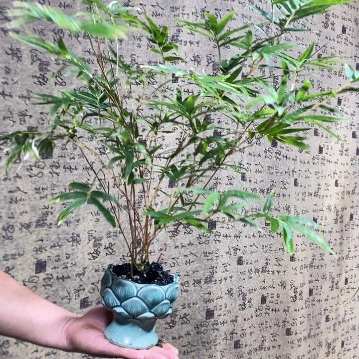 洁***宝完全开放退款拉黑106