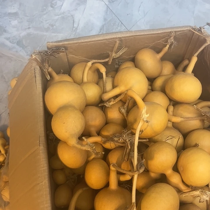 葫芦50个瑕疵小葫芦