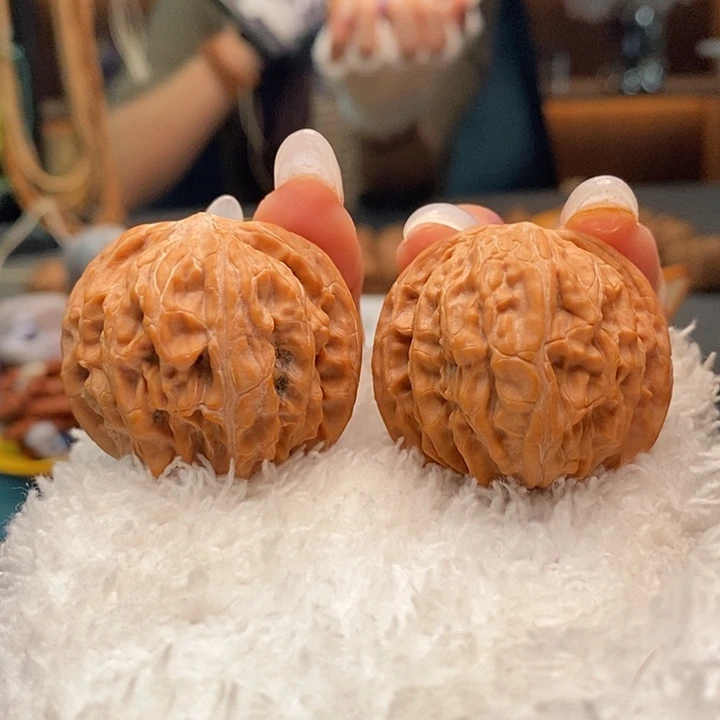 核桃10号 38尺磨盘 全品