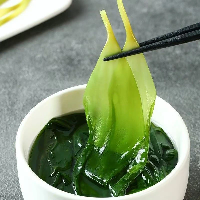 海带苗新鲜盐渍海带嫩苗凉拌炖汤涮火锅食材
