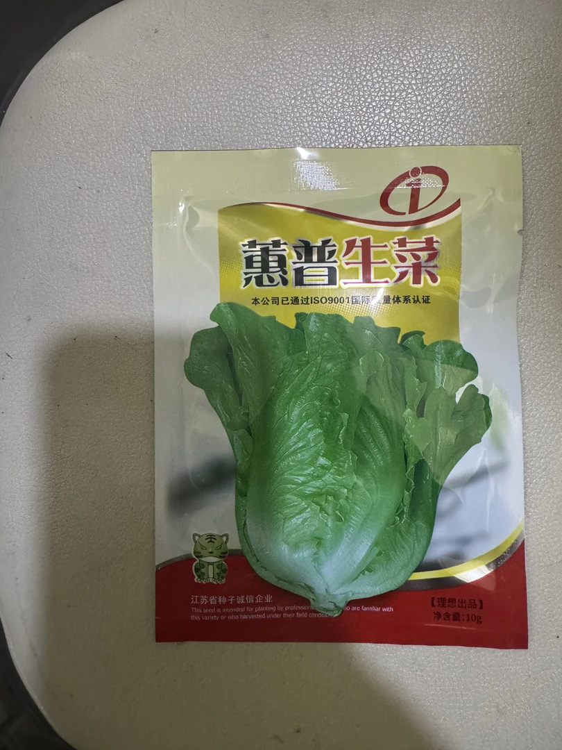 四季耐抽苔耐热耐寒半结球蕙普生菜种子适合家庭盆栽种植