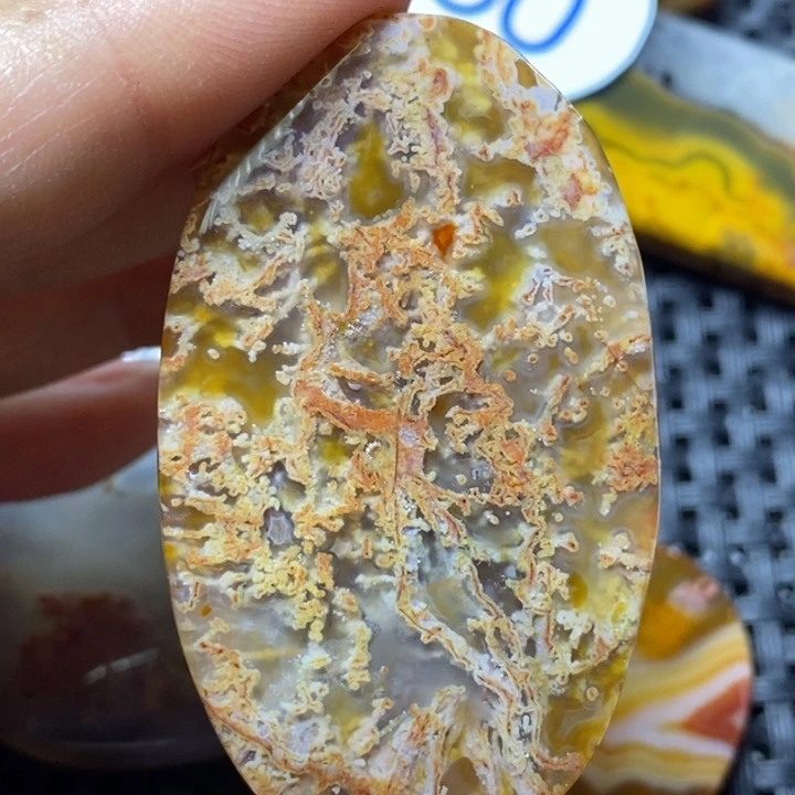 未镶嵌颈饰玛瑙/玉髓万**缘