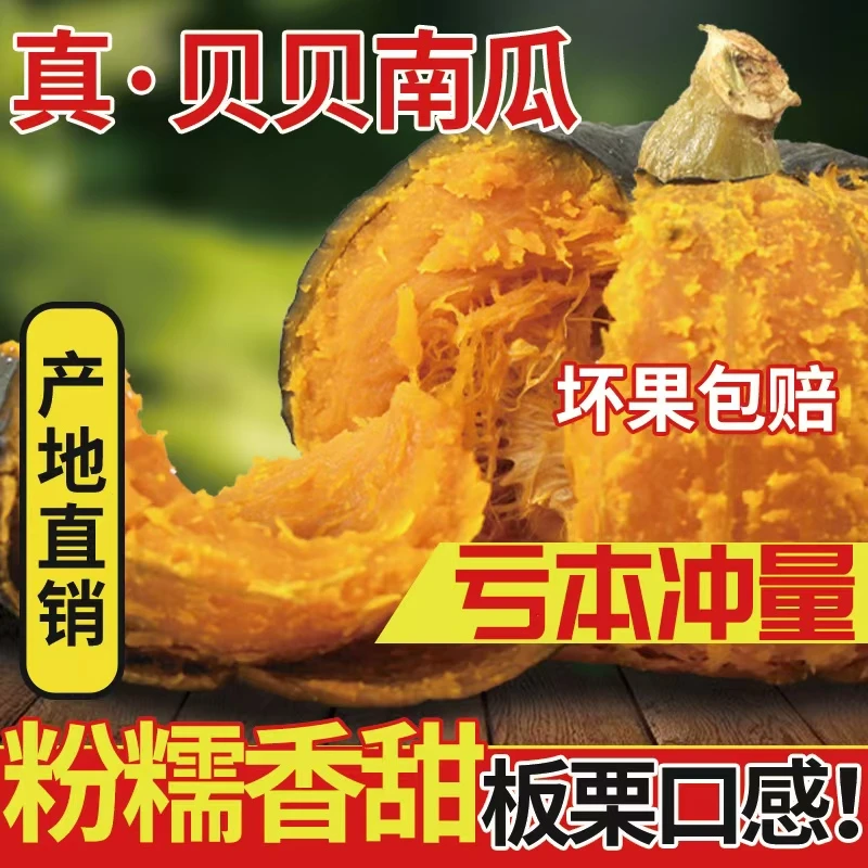 沙漠真贝贝南瓜正宗板栗味老面粗粮孕妇婴儿宝宝辅食粉糯香甜整箱