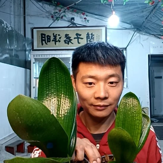 @春雨贵如油张勇49元一对