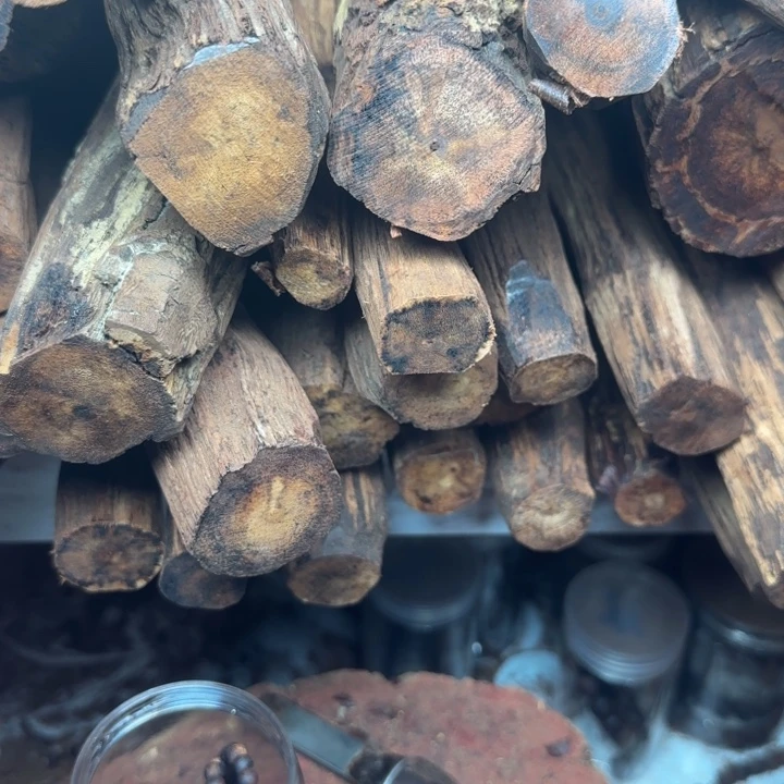 C***J木降真香的私人定制