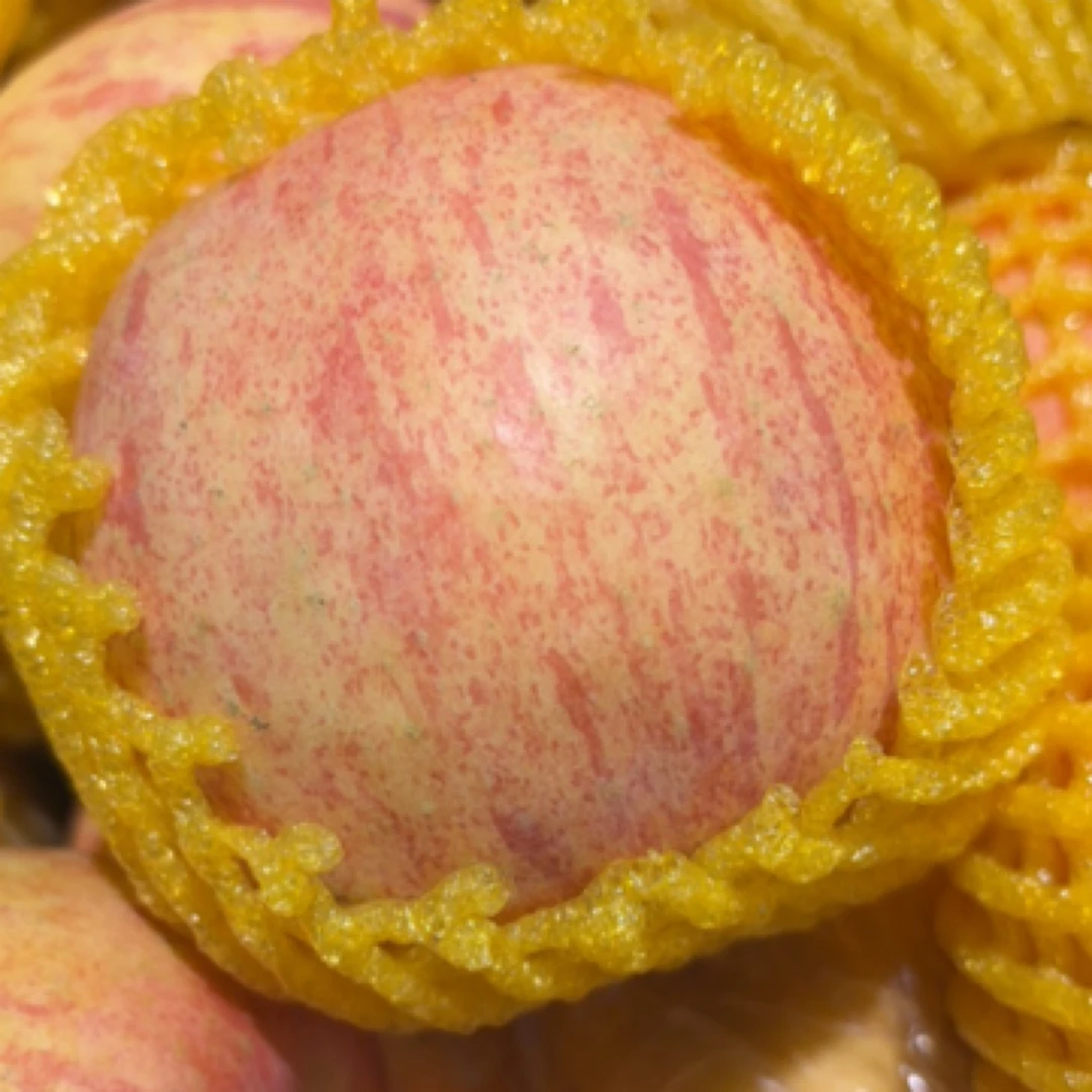 山东红富士苹果（500g）湖南省