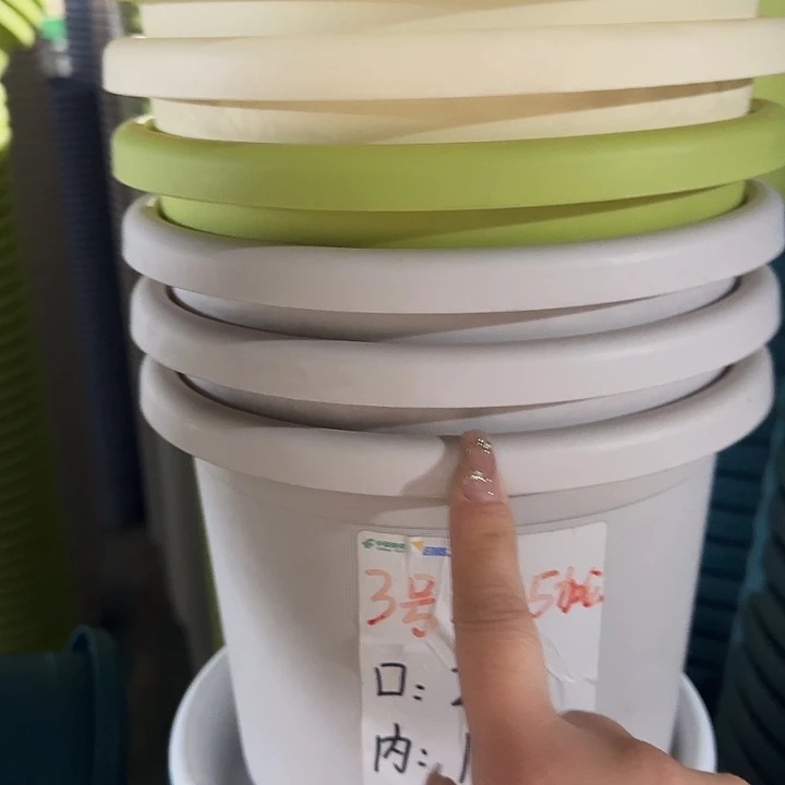 四季3号灰白无托10个特价