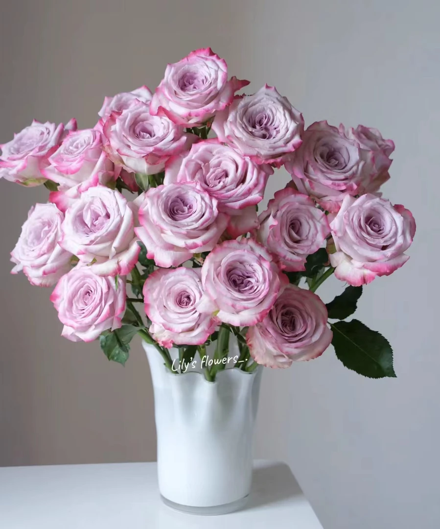 【多头-气场10支】1单中通 同地址2单以上顺丰或德邦空运 云南鲜花