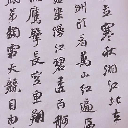 书法张建东老师书法作品