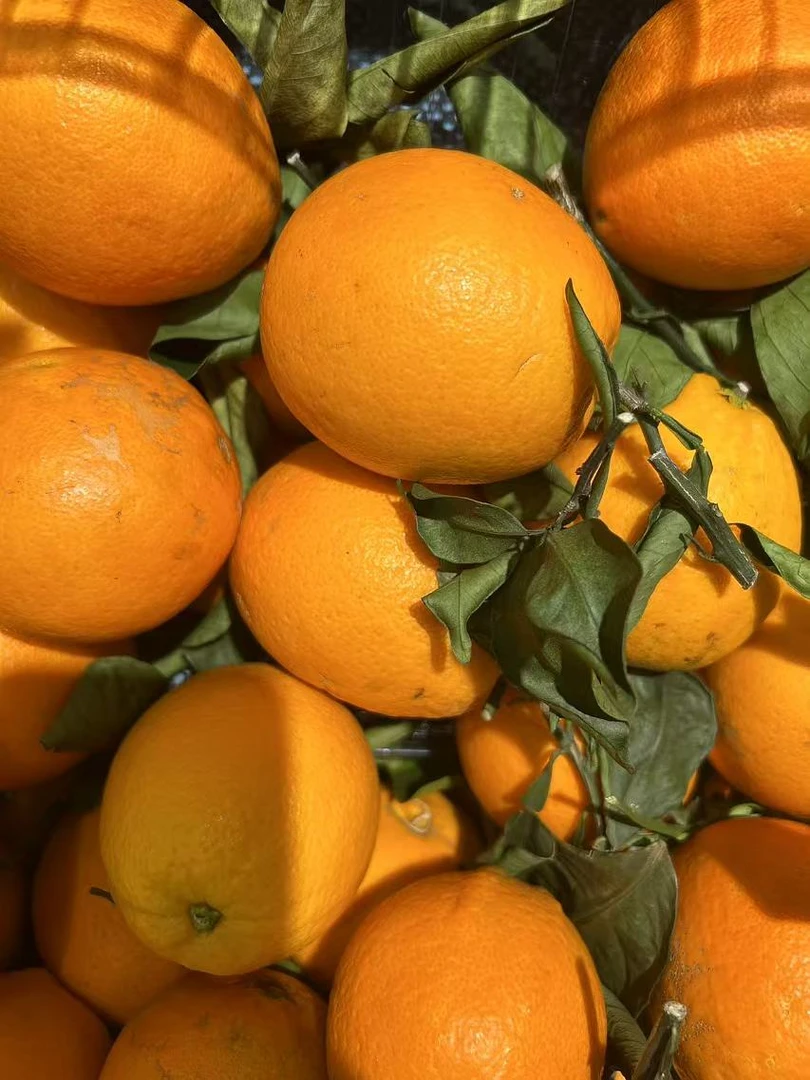 江西赣南脐橙 500g