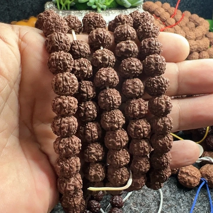 手串金刚菩提紫红皮平细脖挂
