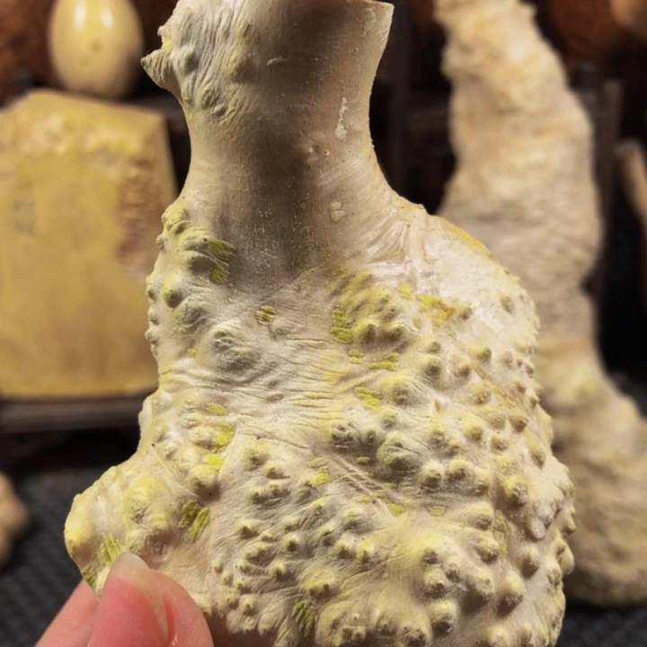 木?***夭木料木料木料木料