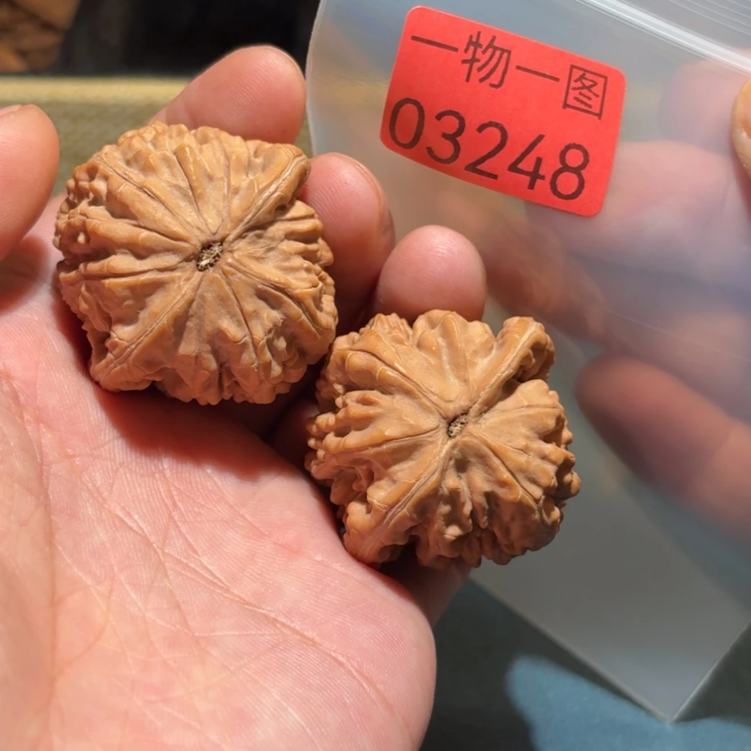 文玩核桃把件望月