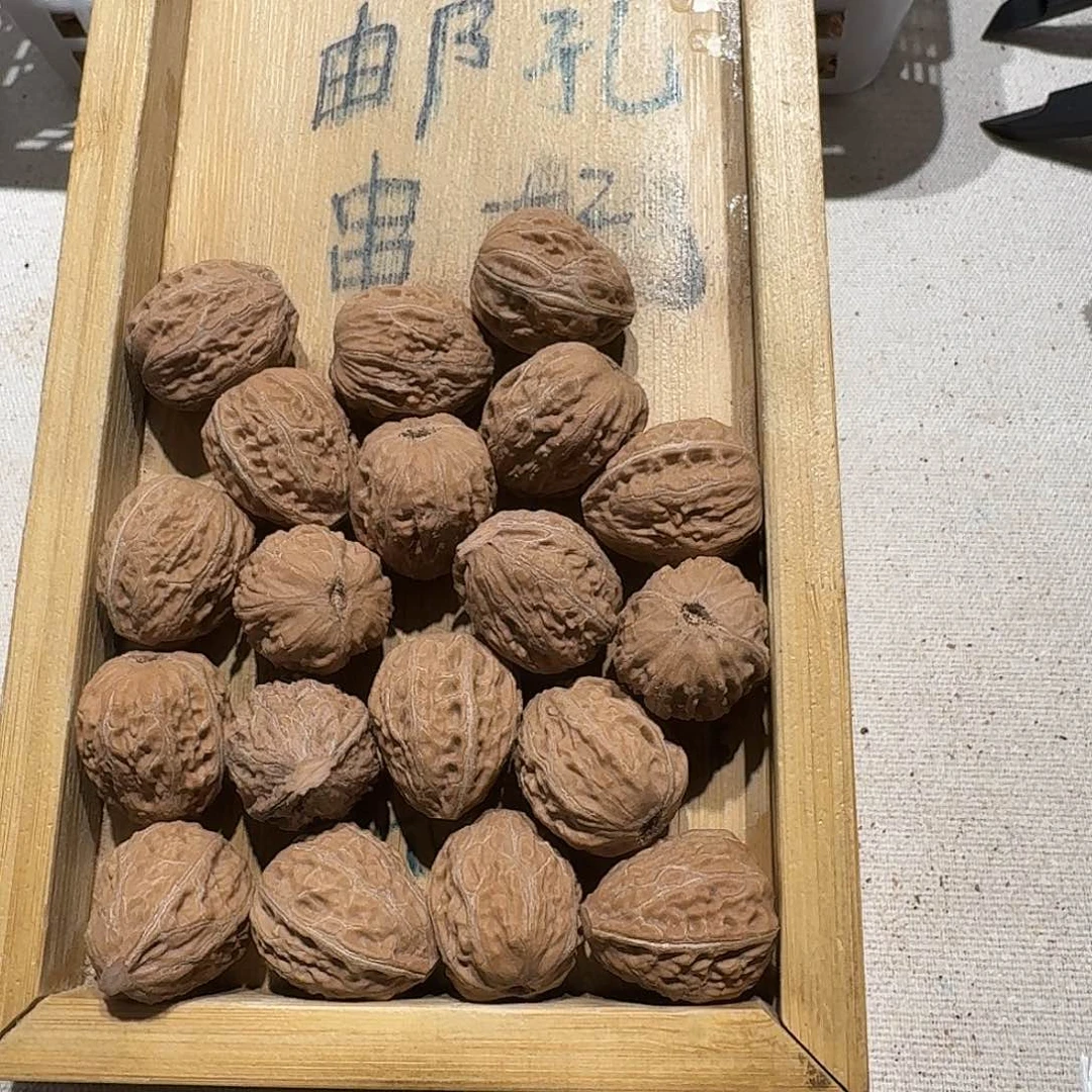 核桃手串/手链59号边20手持