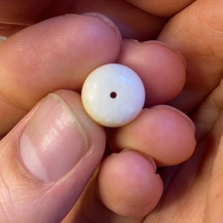 大叶紫檀（黑酸枝木类）海胖肉脑12老型单珠2.1