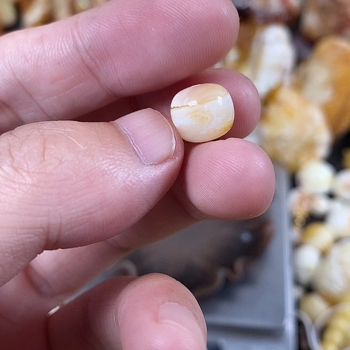 裸石琥珀未镶嵌我