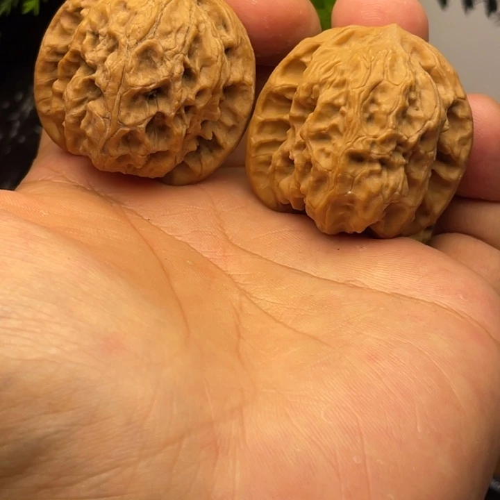 文玩核桃把件39全品野狼