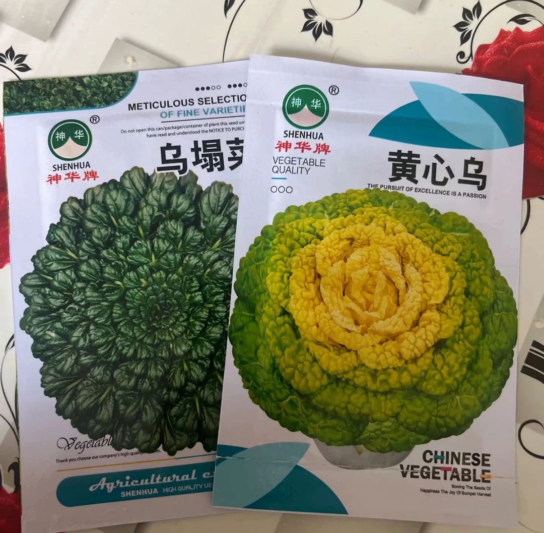 耐寒乌塌菜种子 拍一发二 黄色加绿色组合装